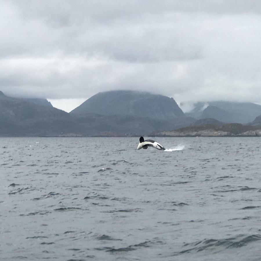 Fishermans Rorbu 2 - Lofoten Ramberg Esterno foto